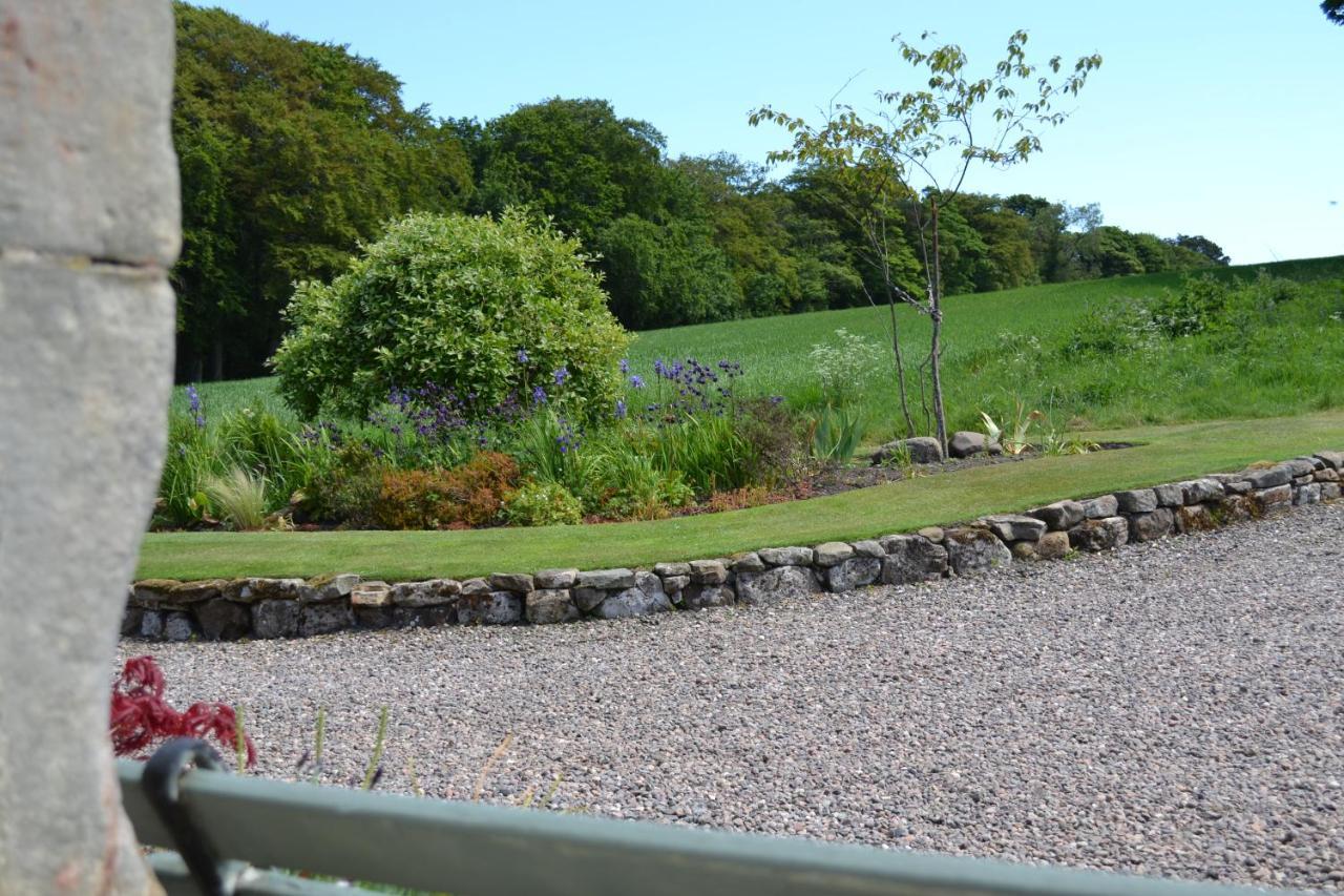Balmungo Cottage B&B St Andrews Exterior foto