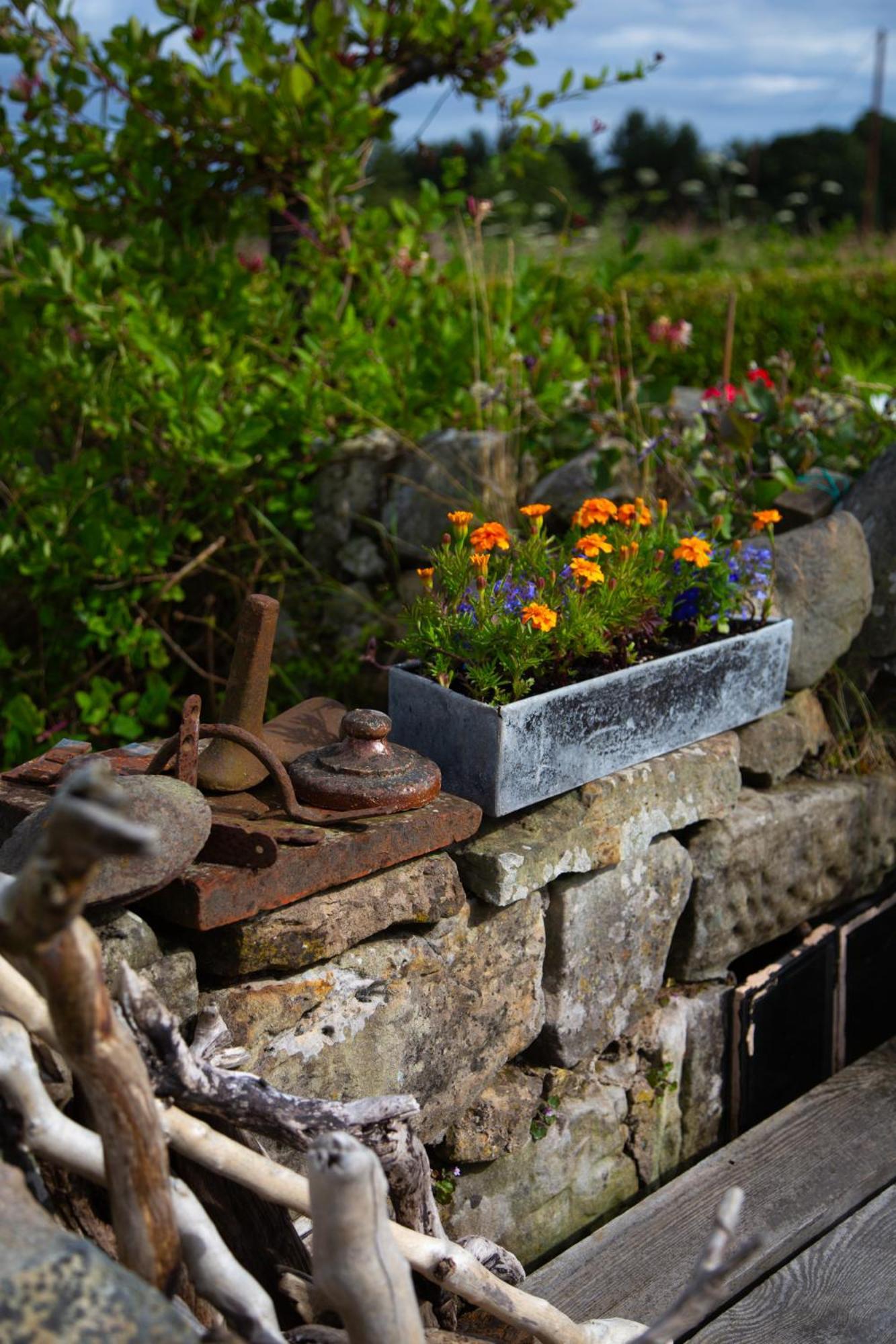 Balmungo Cottage B&B St Andrews Exterior foto