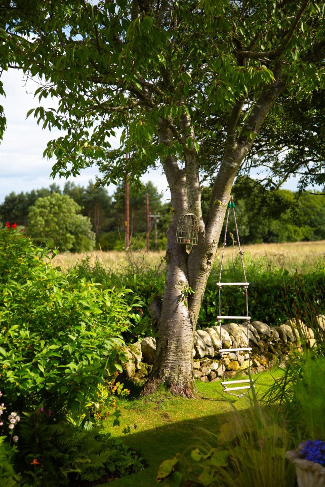 Balmungo Cottage B&B St Andrews Exterior foto