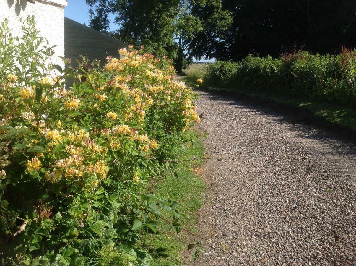 Balmungo Cottage B&B St Andrews Exterior foto